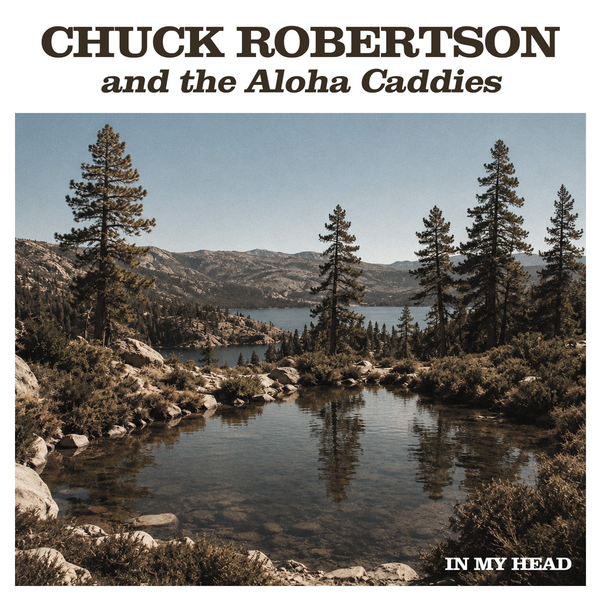 Cover zu Chuck Robertson and the Aloha Caddies - In My Head