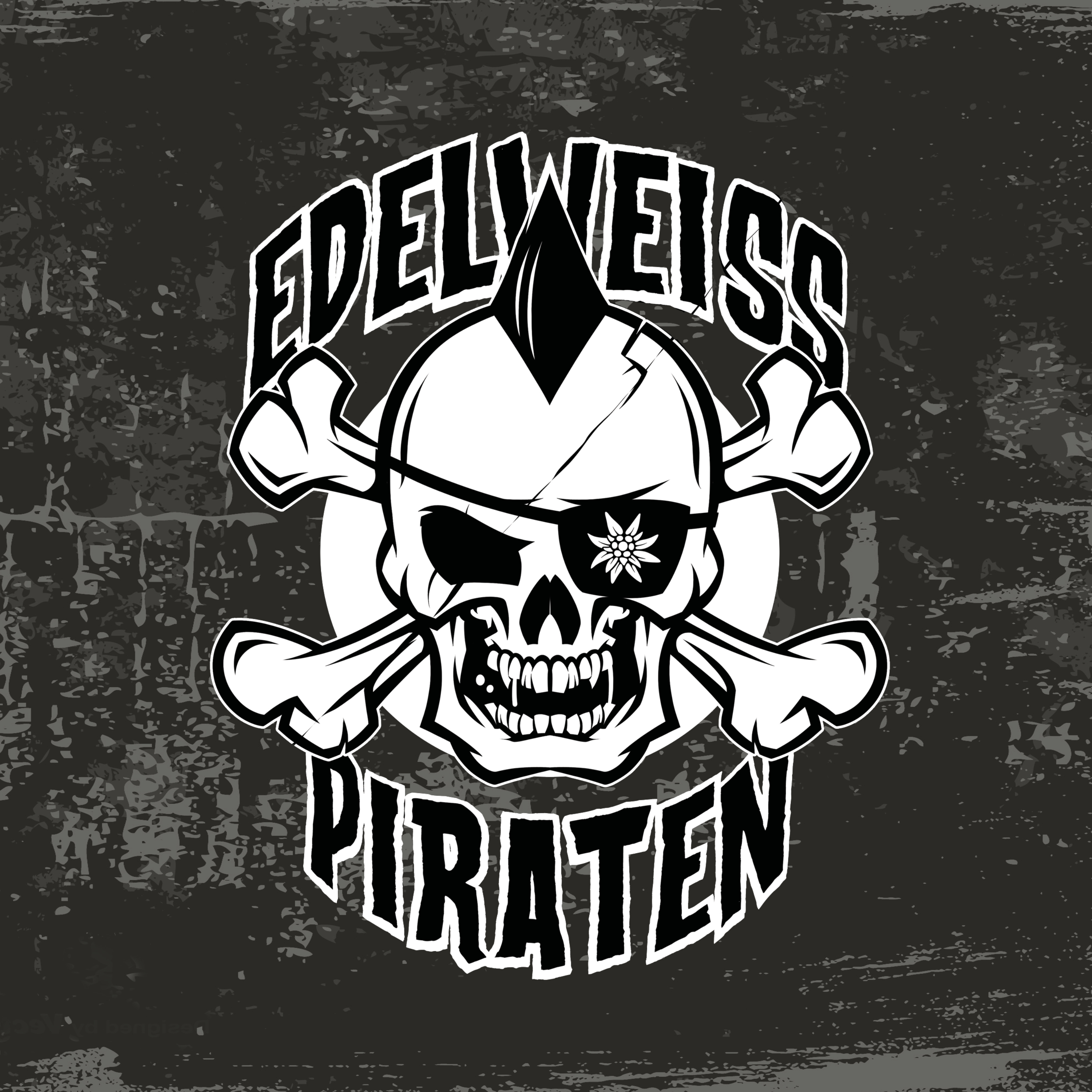 Cover zu Edelweisspiraten - Wir sind der Widerstand!