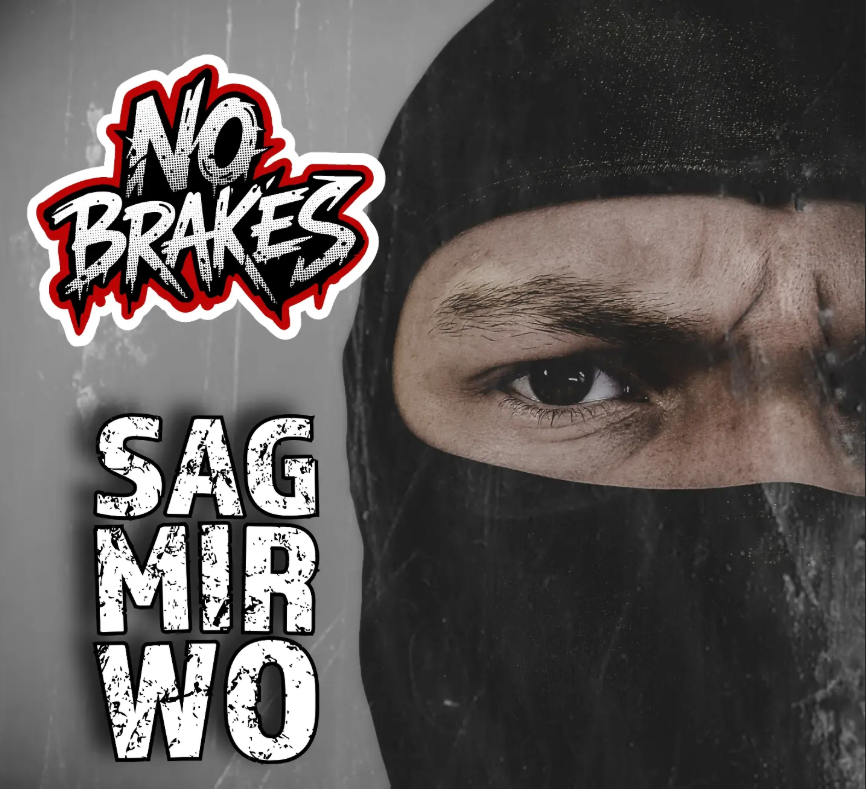 NO BRAKES - Sag mir wo Artwork